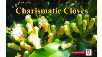 Charismatic Cloves