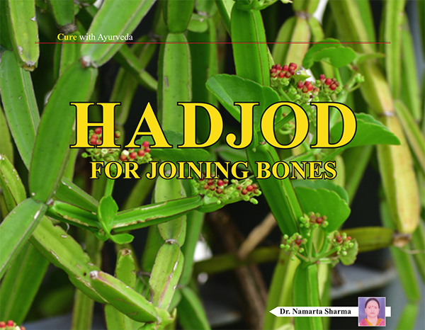 HADJOD for Joining bones