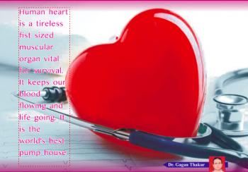 AYURVEDIC CARE OF HEART